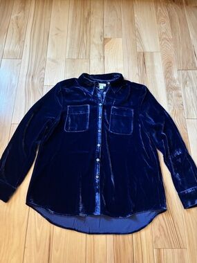 NEW Sundance Purple Velvet Button Front Long Sleeve Silk Blend Top